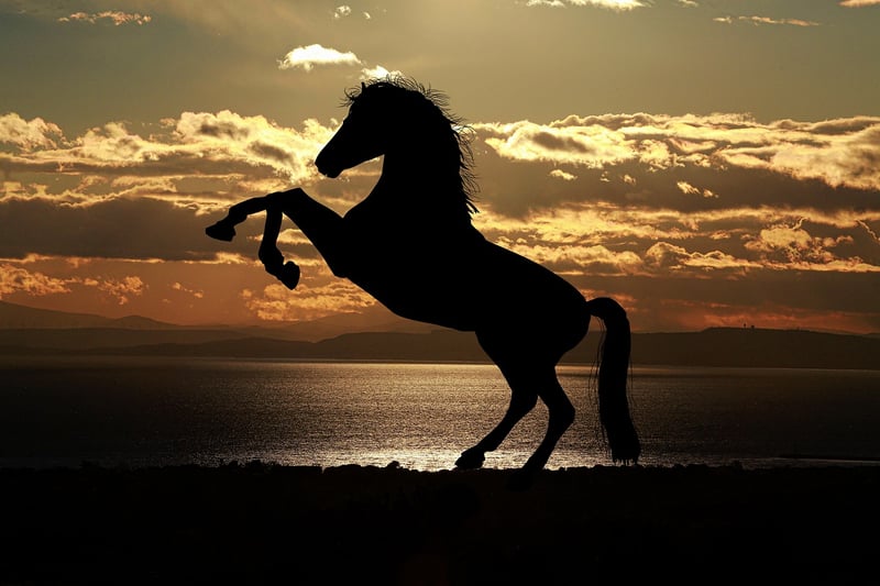 Silhouette representing life challenges